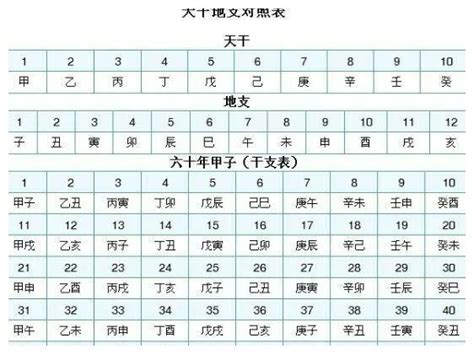 天干地支年月日|干支纪历（年月日时）